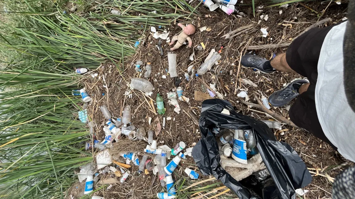 trash in grasses on edge of Santa Cruz River in Tucson