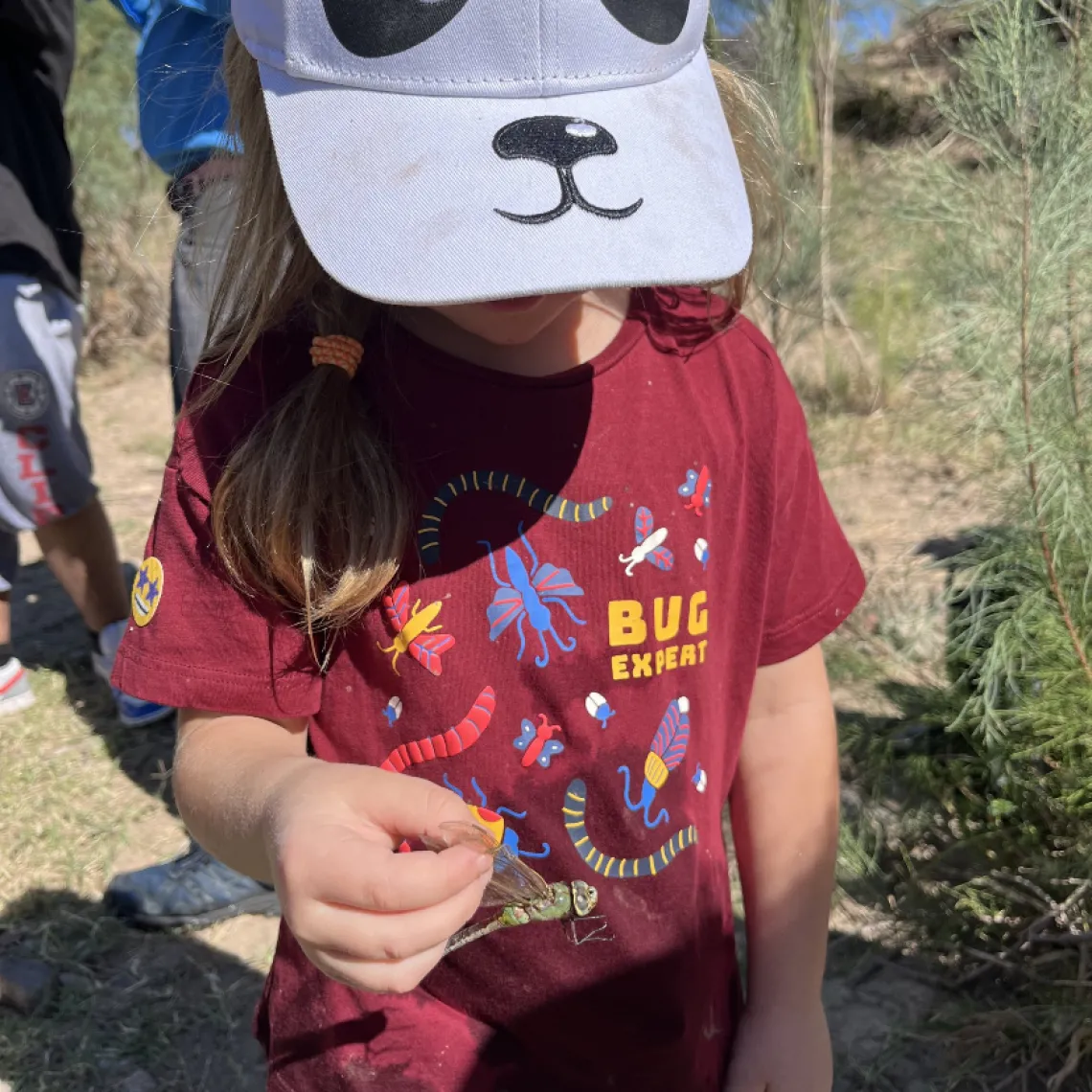 A child holding a dragonfly wearing a shirt that says Bug Expert