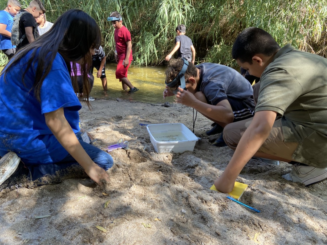 Students by a river studying a container holding aquatic insects