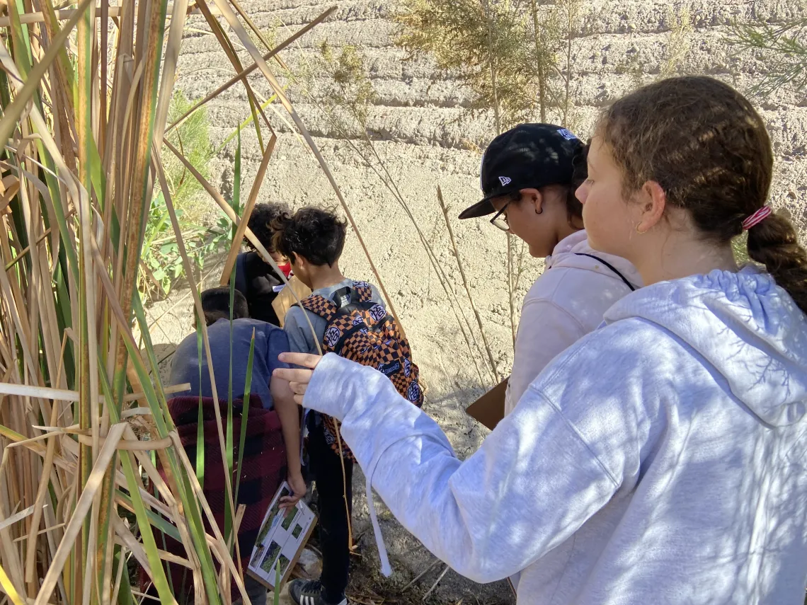 Group of students walking along a river channel near cat tails