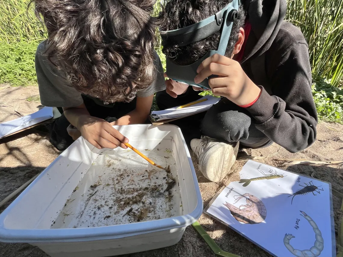 Students studying a water sample