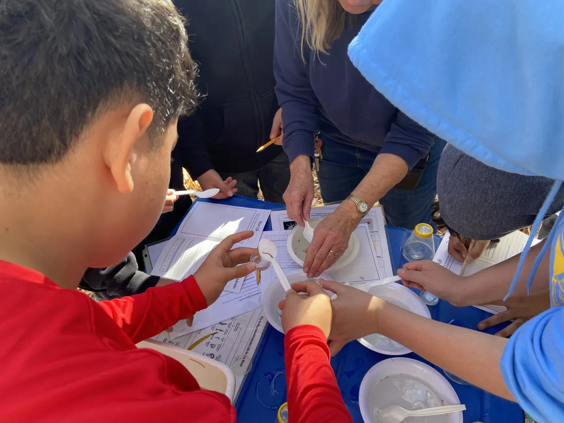 Students looking at small bugs in water bins