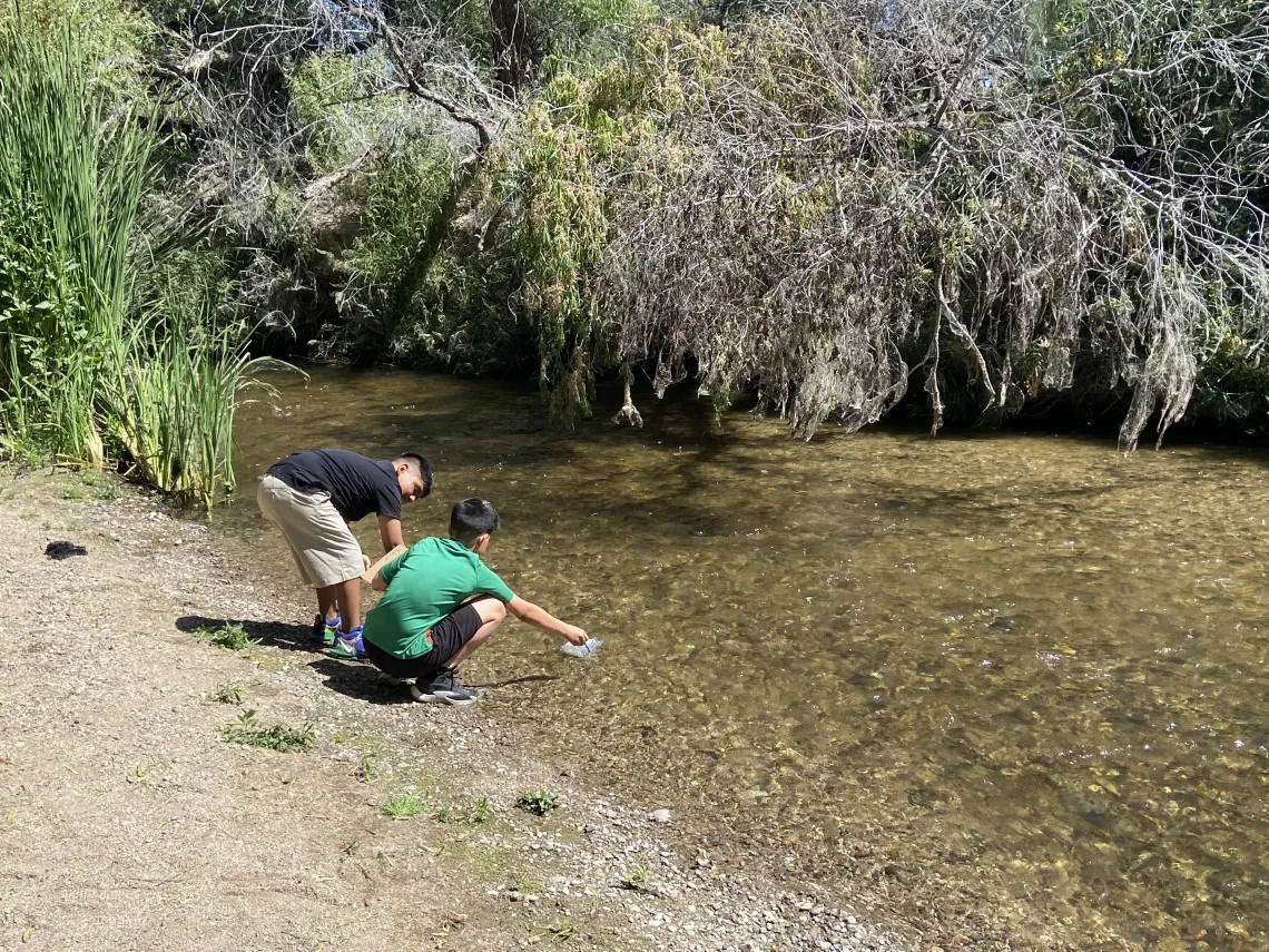 Students on the edge of the Santa Cruz River with nets.