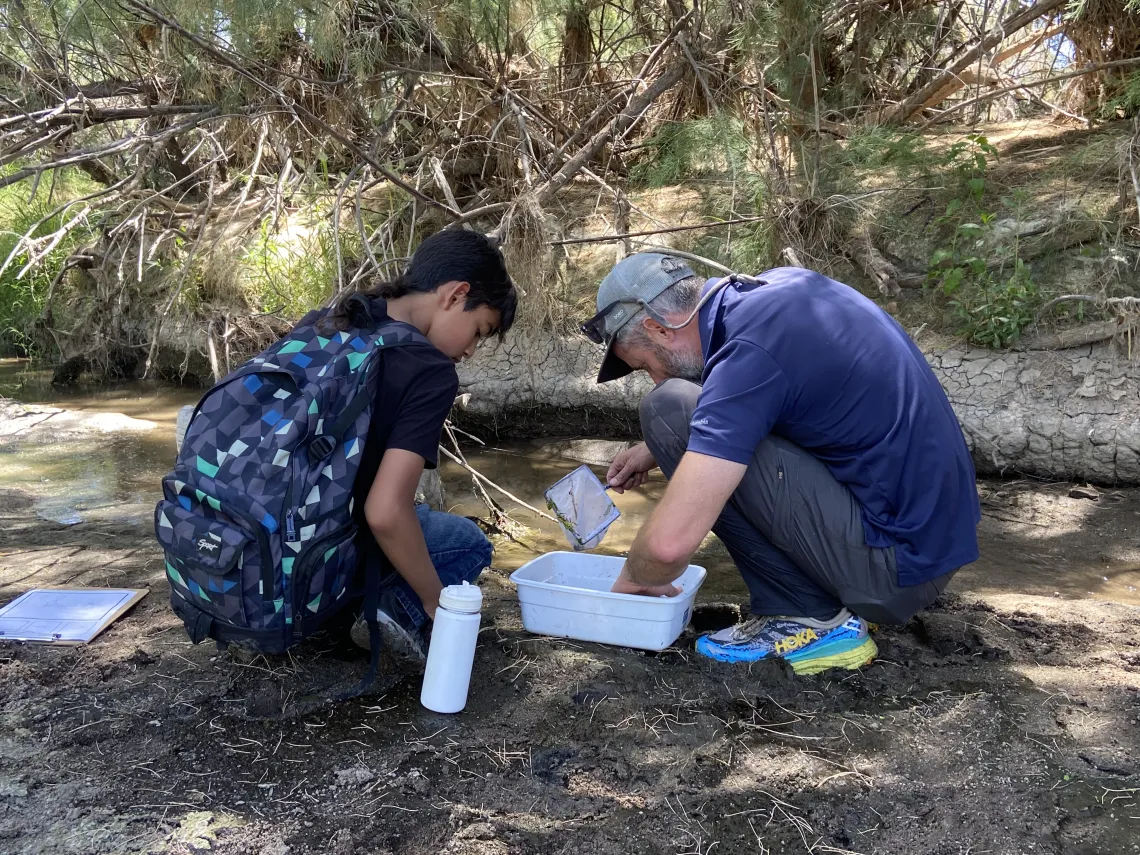 Student and teacher looking at a bin of aquatic insects