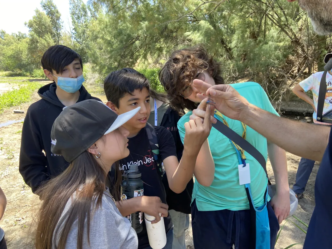 Group of students looking at a dragonfly