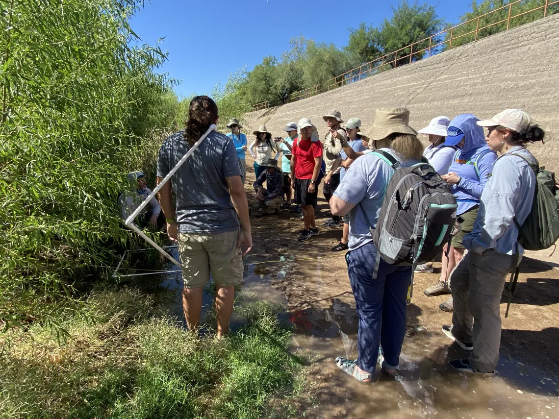 Teachers collecting data on plants at the Santa Cruz River