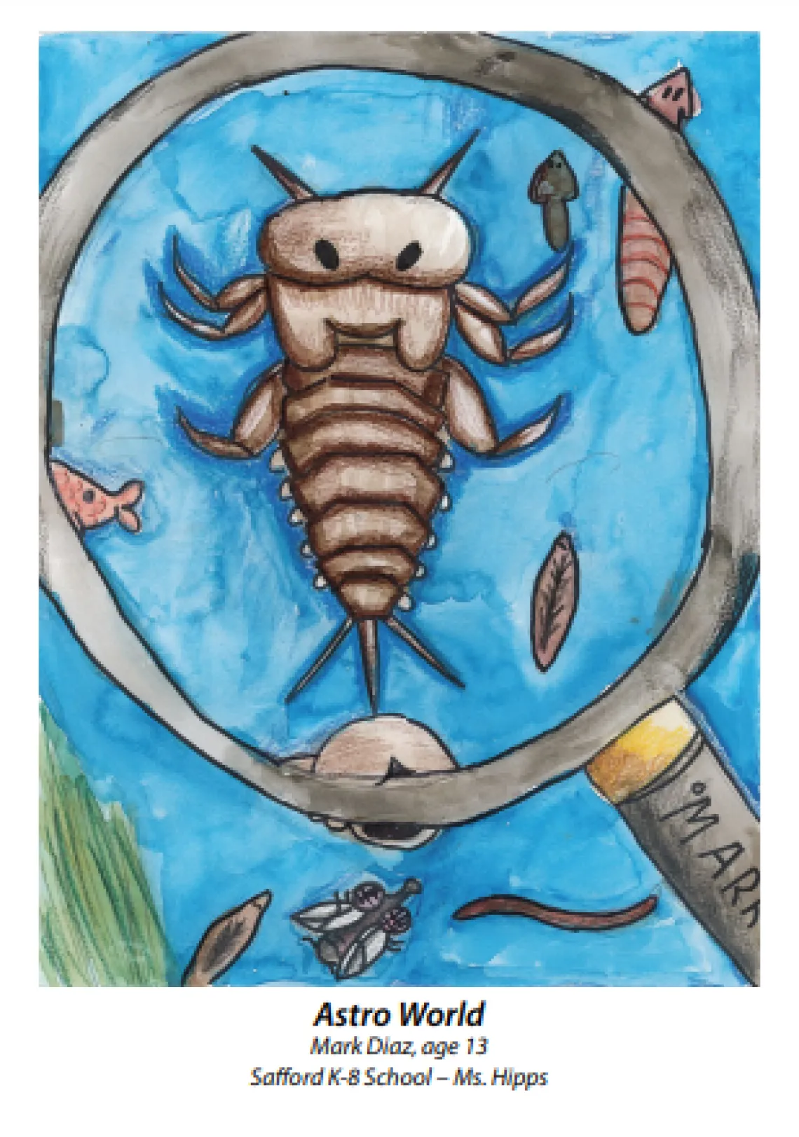 Close up watercolor drawing of aquatic insect 