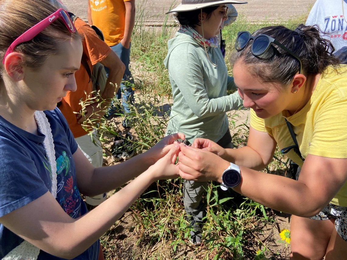 Two people looking closely at a dragonfly