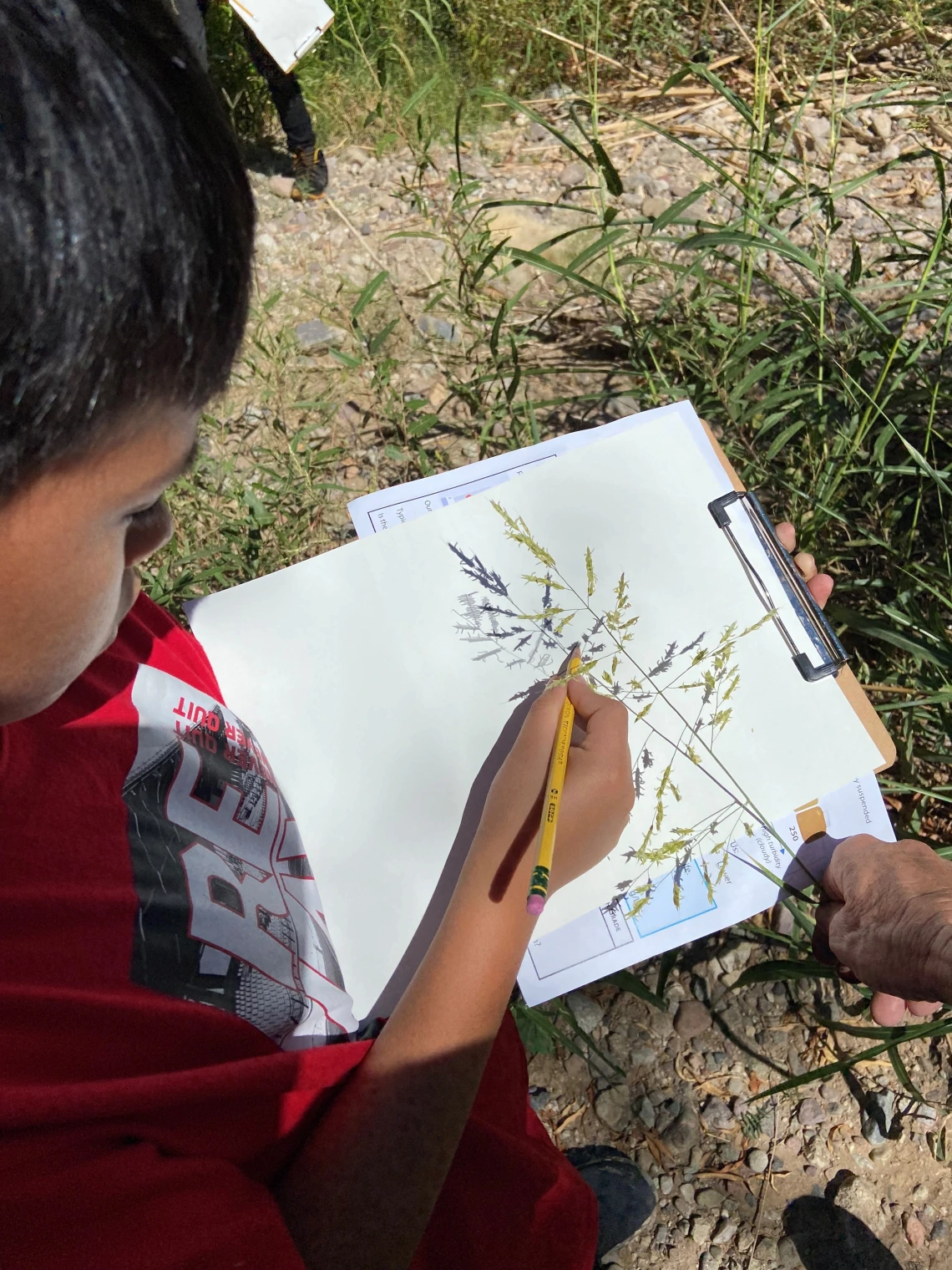 Student drawing shadows of a plant on the Santa Cruz River