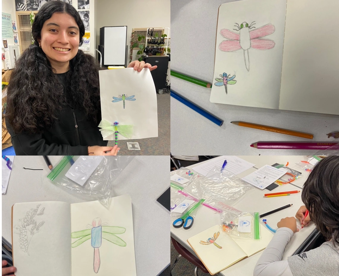 A grid of four photos showing student drawn dragonflies 