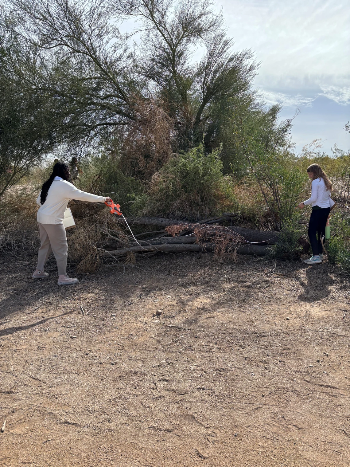 Two students measuring a log with transect tape