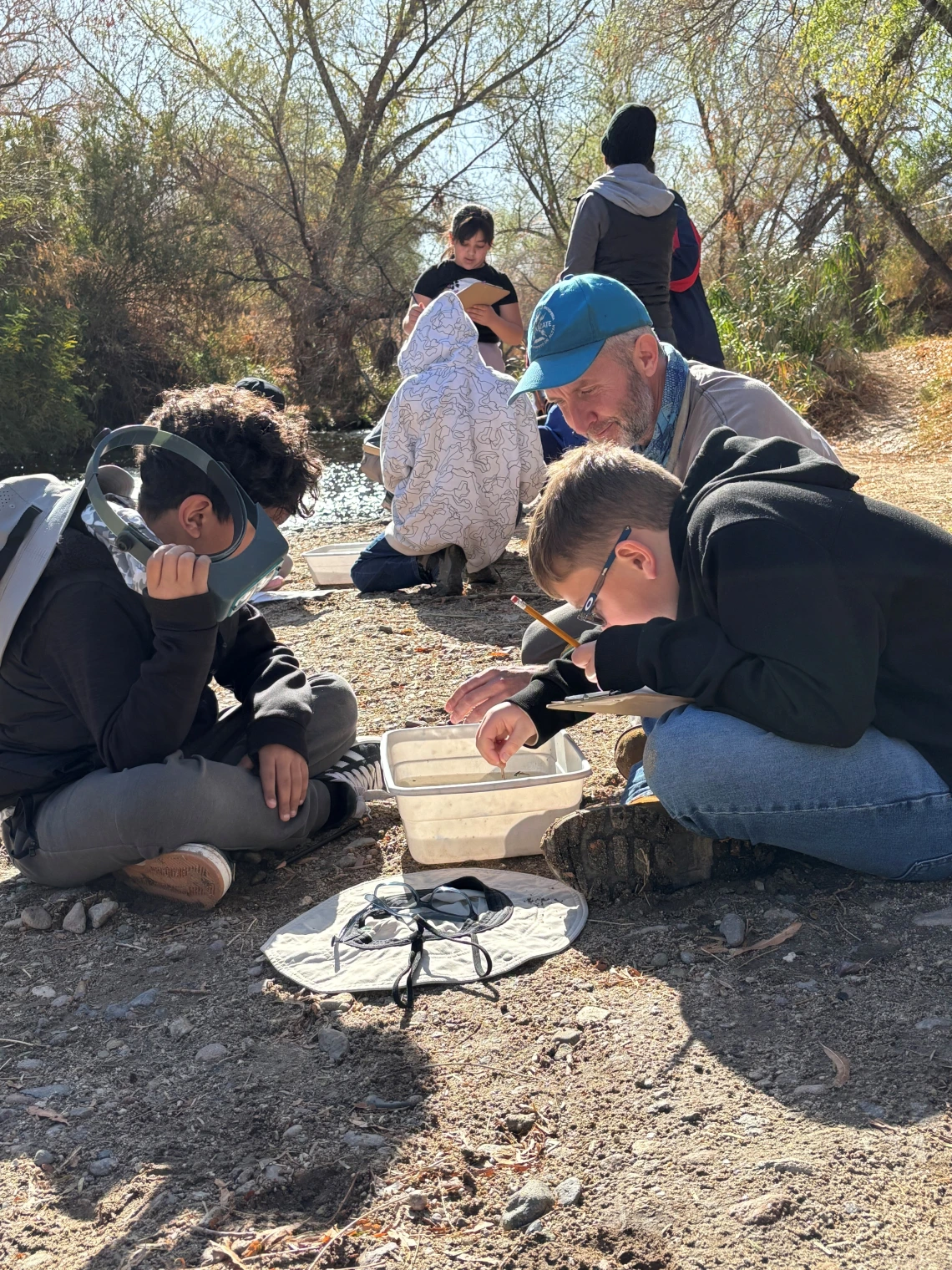 Students studying bin with aquatic macroinvertebrates from the Santa Cruz River