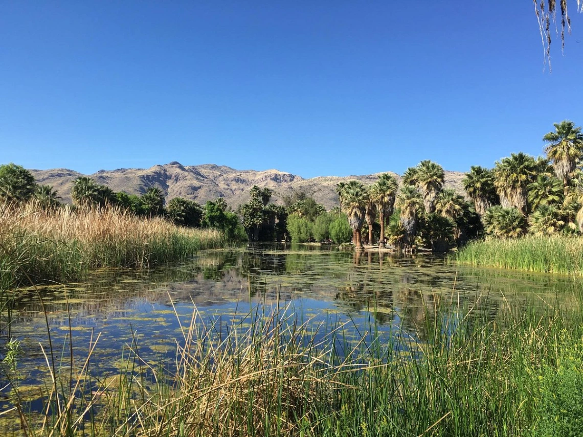 agua caliente park photp