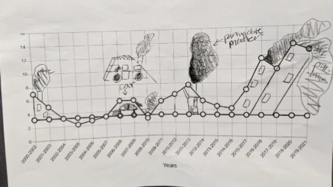 Student graphing art pollution