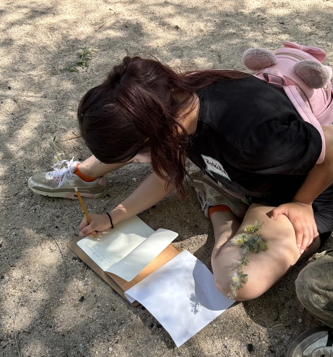 Student drawing Goodding's willow seeds in journal
