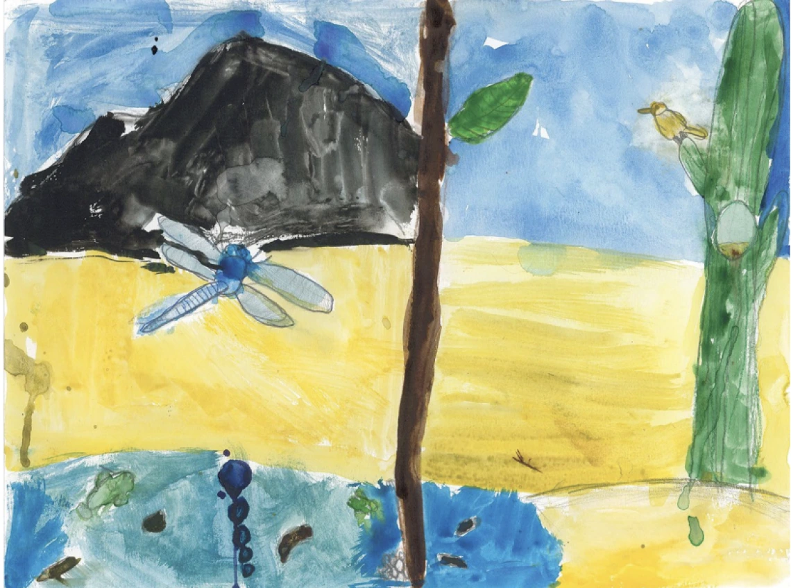 dragonfly drawing for LROW contest