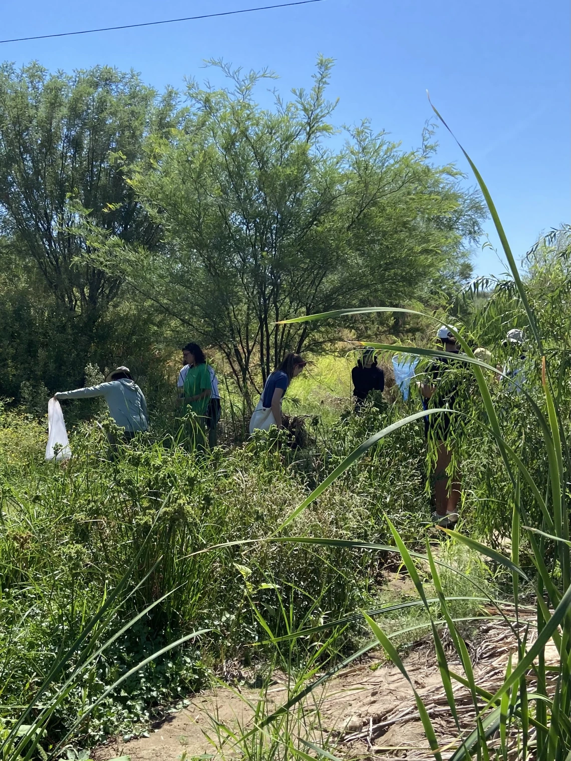 People exploring the Santa Cruz river!