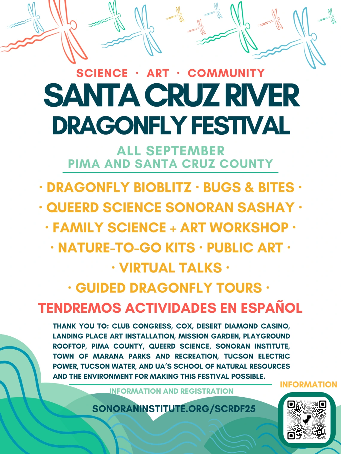 Dragonfly Festival 2025 poster