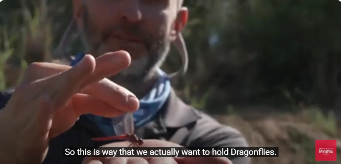 Michael Bogan showing how to hold a dragonfly near the Santa Cruz River