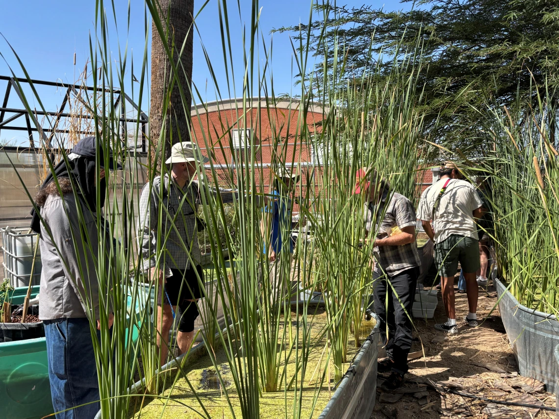 People standing near stock tanks filled with water and cattails 