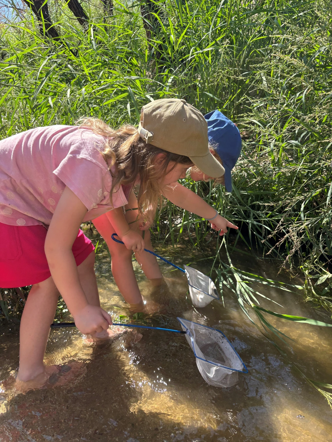 Two children holding small nets in the Santa Cruz River looking for fish