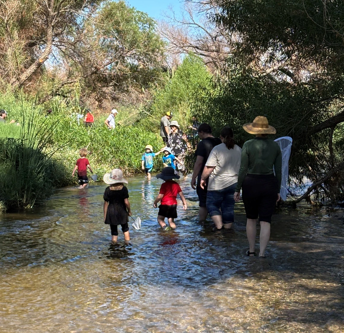 Adults and children walking in the Santa Cruz River