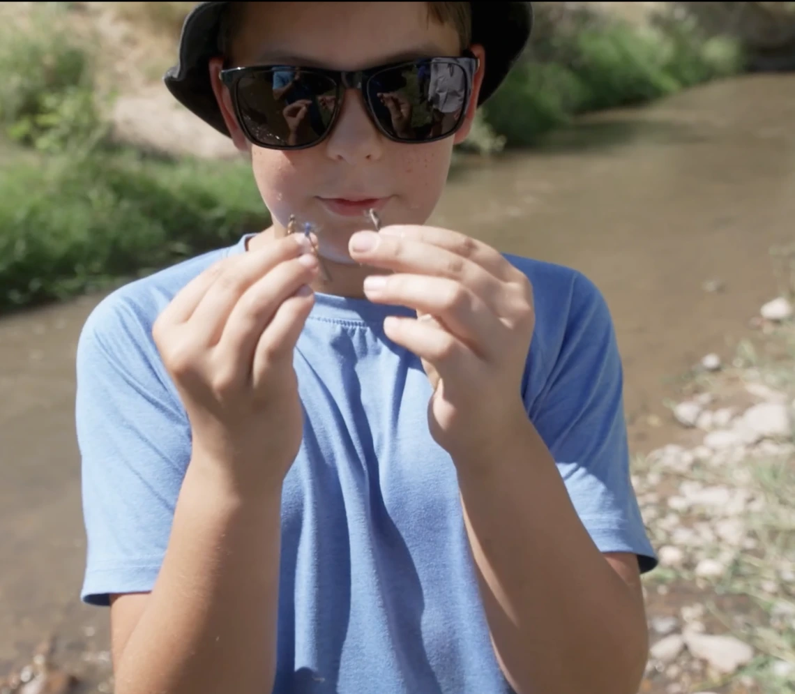Little boy holding two damselflies, one in each hand