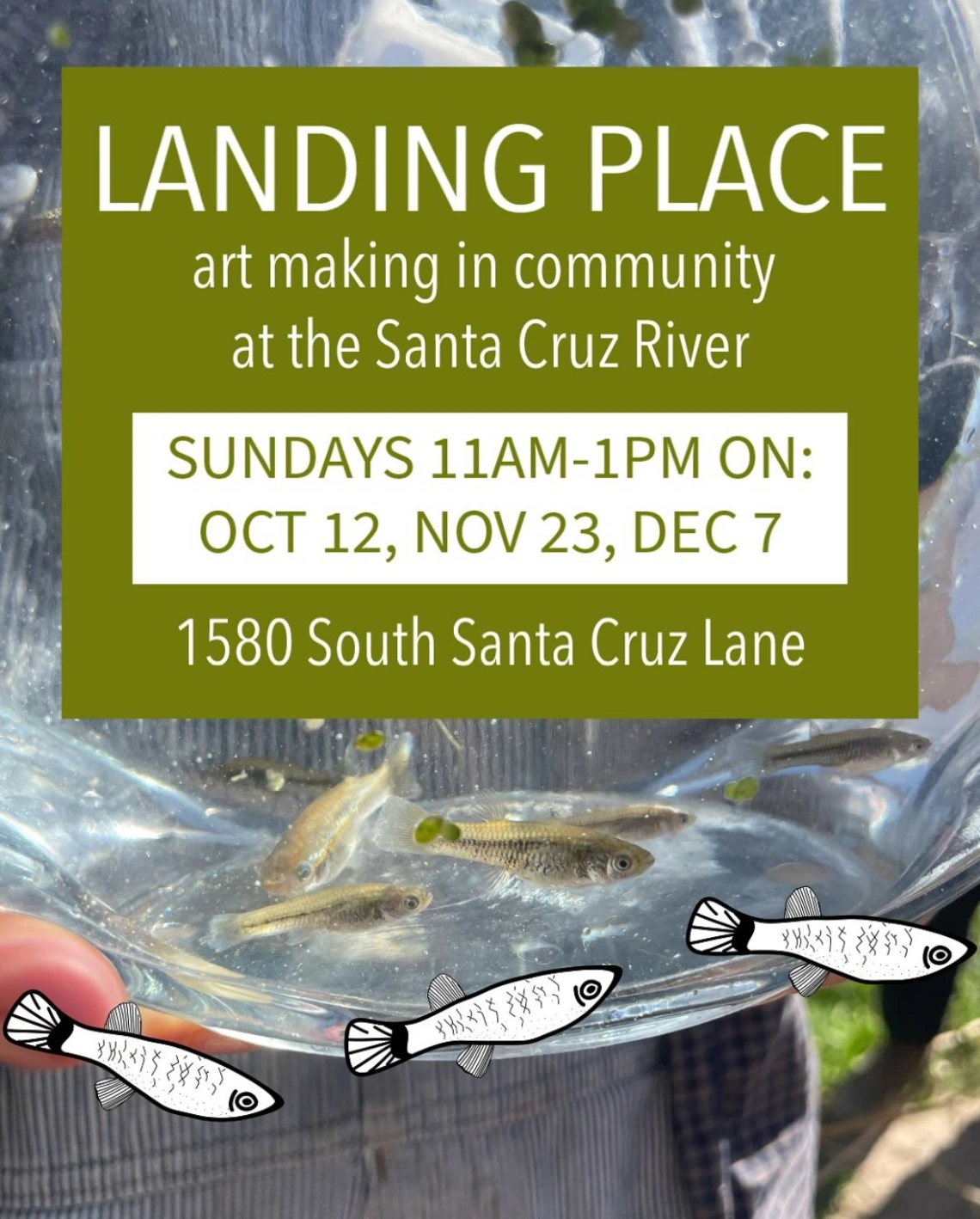 Details about Landing Place art making with small fish 