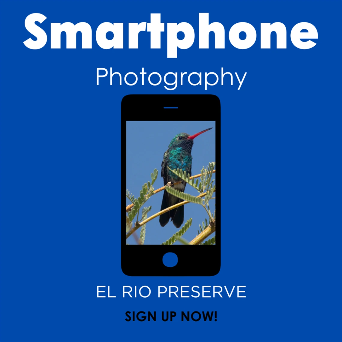 Image of a phone with the camera pointing to a hummingbird. Text describes how this is a Smartphone Photography Walk. 