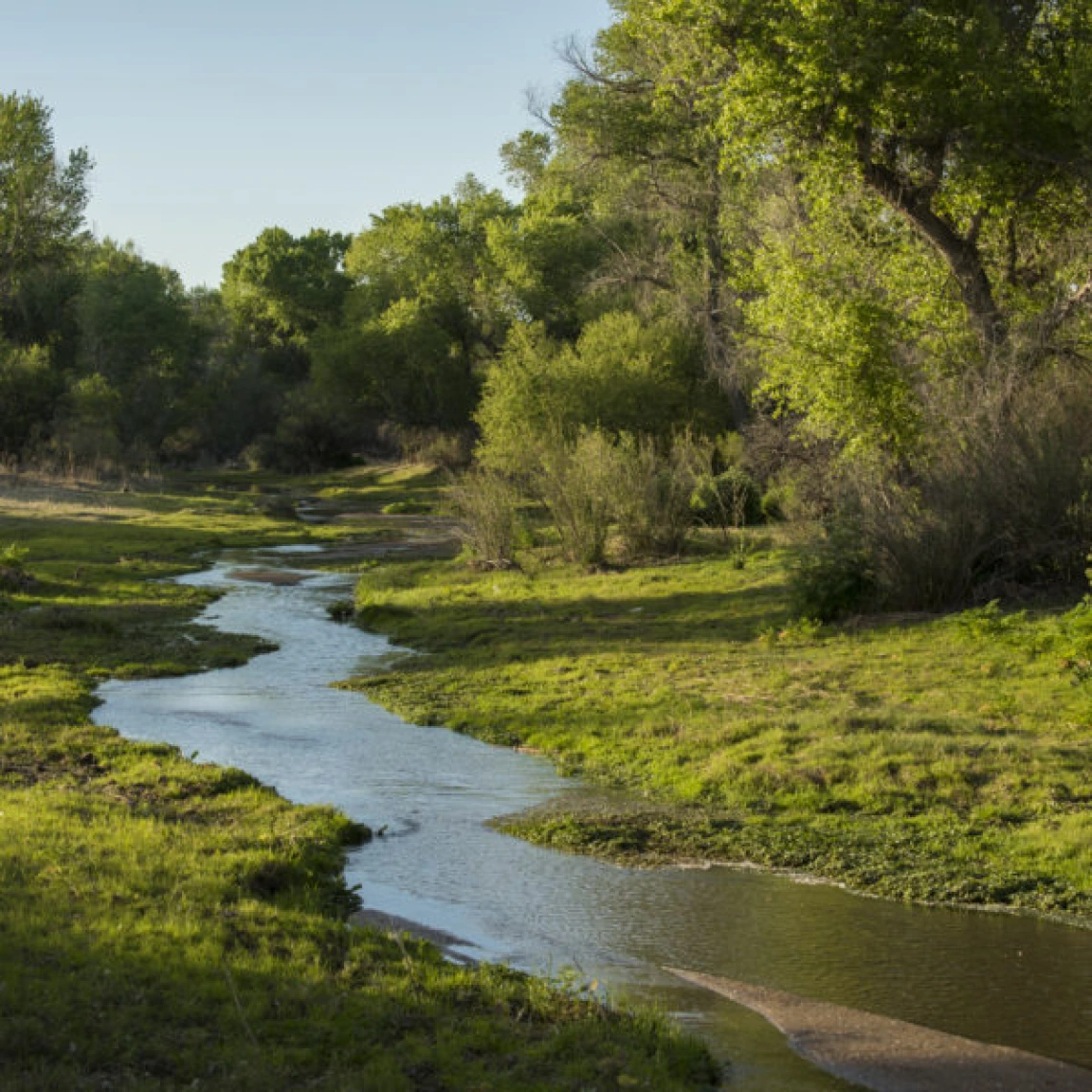 Santa Cruz River image from the Sonoran Institute website 