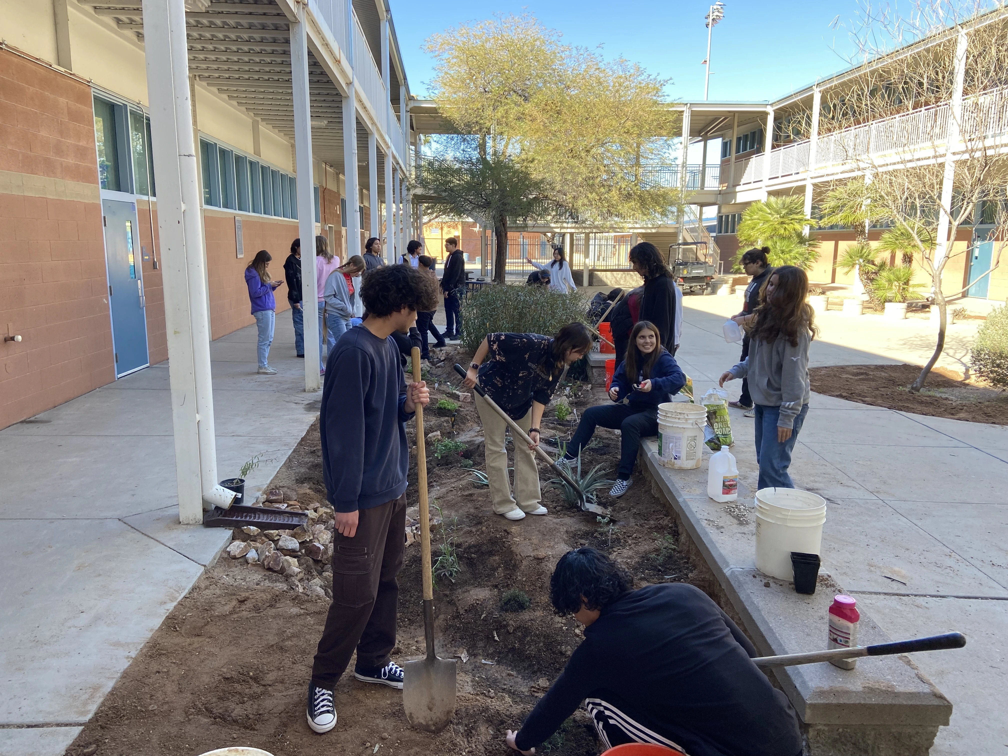 Students installing pollinator garden at high school