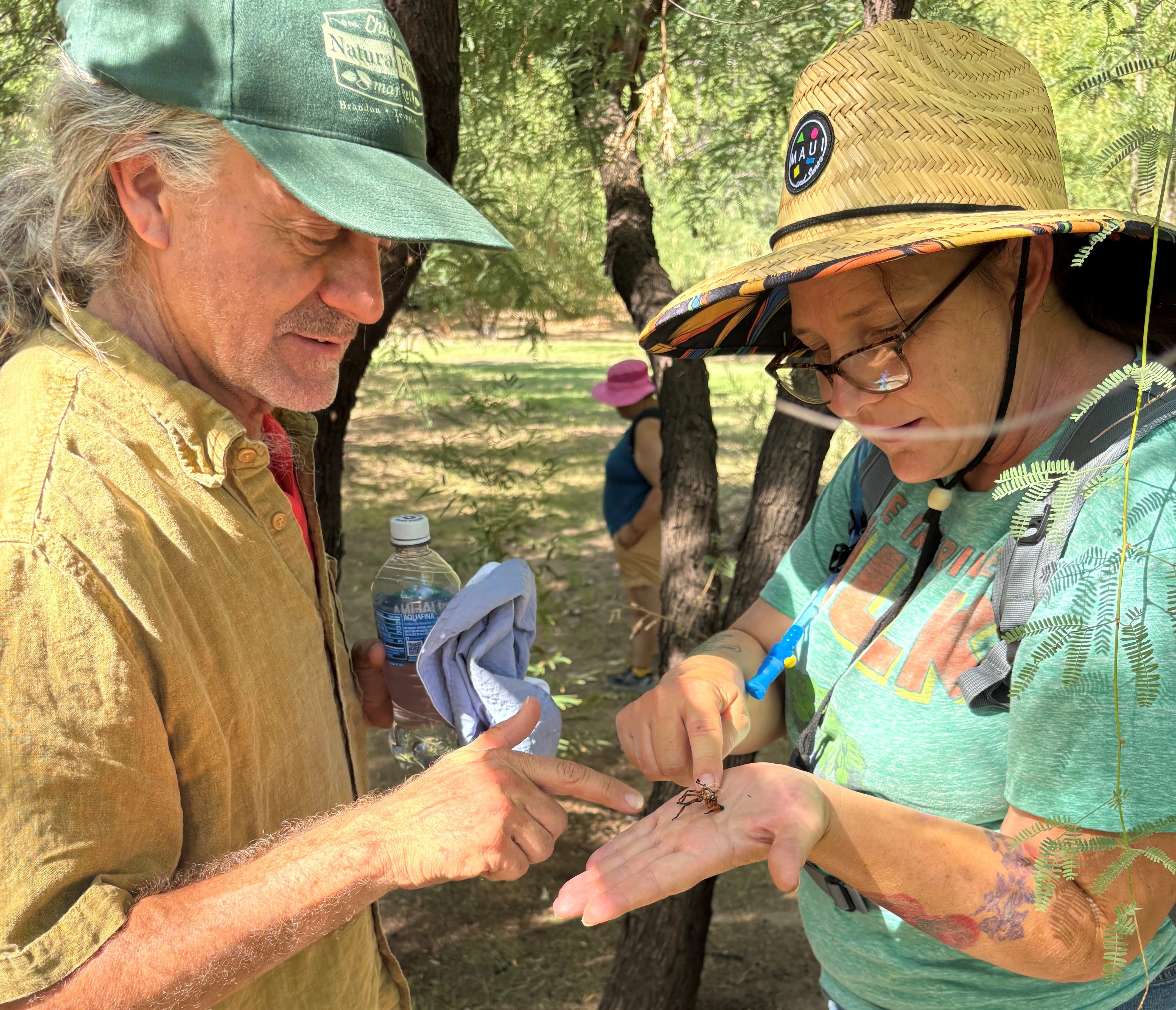 Two people looking closely at an insect