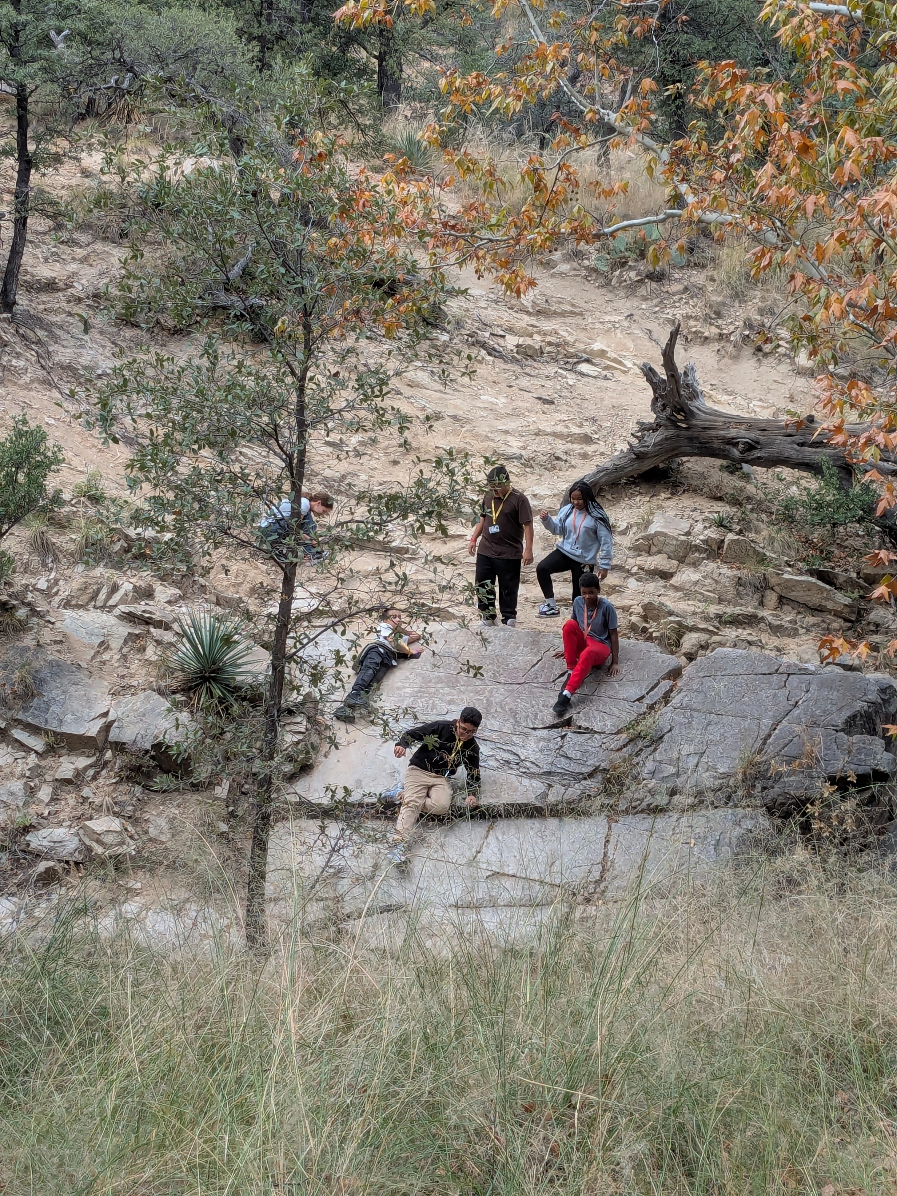 Students climbing on a large boulder in Madera Canyon