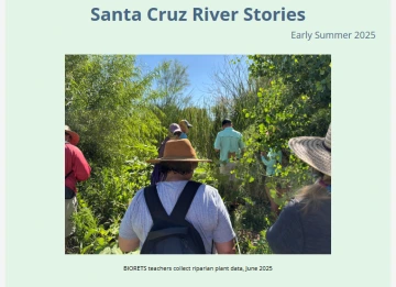 People walking away from camera in cattails at the Santa Cruz River