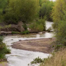 Image of the flowing Santa Cruz River 