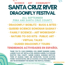 Dragonfly Festival 2025 poster