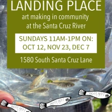 Details about Landing Place art making with small fish 