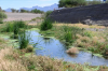Santa Cruz river flowing in channel in Tucson