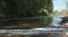 Picture of river with chyron reading Climate Matters Dragonflies return to the Santa Cruz River